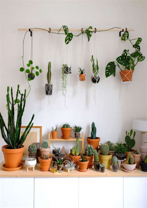 DIY hanging plant wall with macrame planters