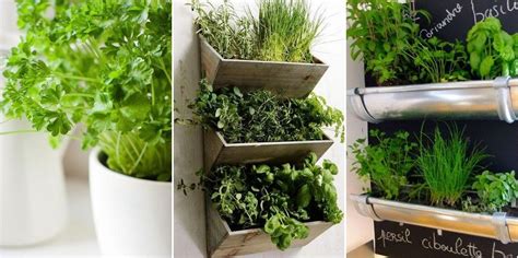 DIY jardines verticales de hierbas | Jardines, Jardines verticales ...