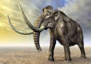 DNA evidence proves climate change killed off prehistoric megafauna ...