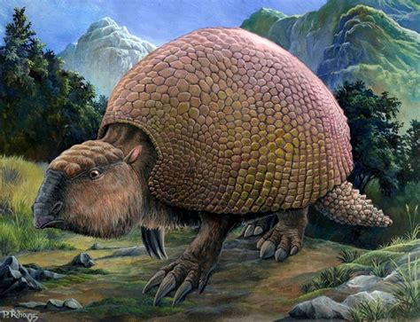 DNA evidence proves climate change killed off prehistoric megafauna
