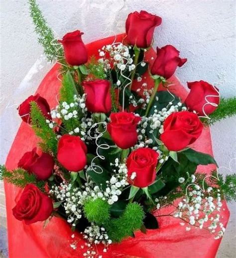 Docena rosas rojas regalo. Envío domicilio en el Día
