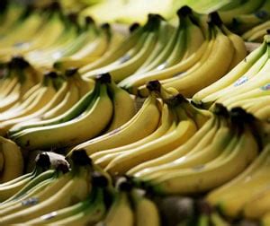 Does the Morning Banana Diet Work? | POPSUGAR Fitness