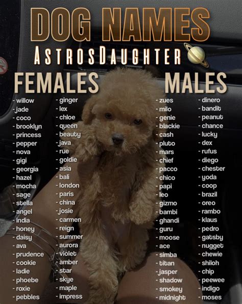 Doggie Names