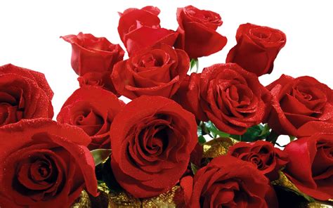 Dolce Prugne: hermosas flores para compartir,rosas,ramos