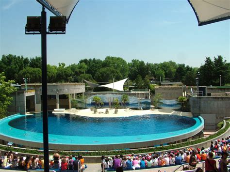 Dolphinarium at Madrid Zoo Aquarium, 26/05/11   ZooChat