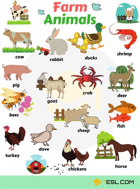 Domestic Animals | Farm Animals | Useful List & Great Images • 7ESL ...