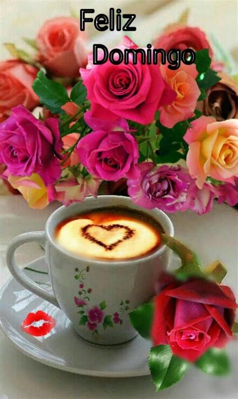 Domingo | Buenos dias con rosas, Flores y cafe, Imágenes ...