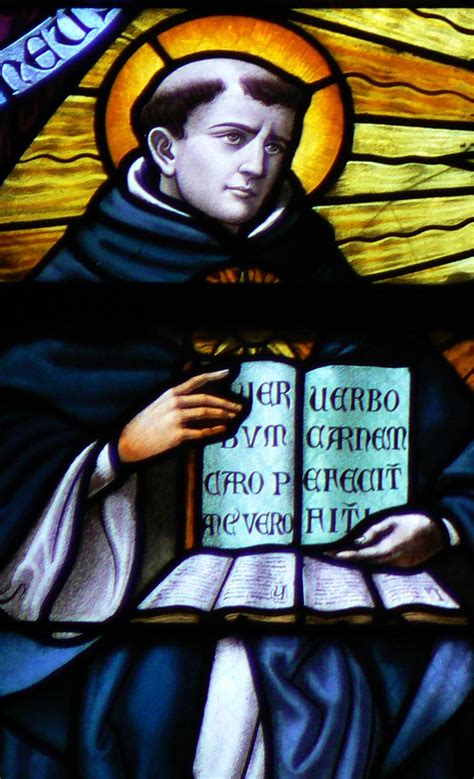 Dominican Life on Lotus Lane: St. Thomas Aquinas