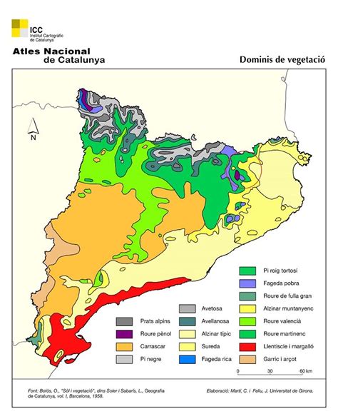 Dominios de vegetación en Cataluña |  Cesta y Setas