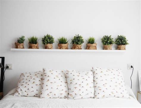 ¿Dónde colocar tus plantas en el dormitorio?   Imagina tu ...