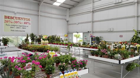 Dónde comprar plantas online: Plantas de Huerto ...