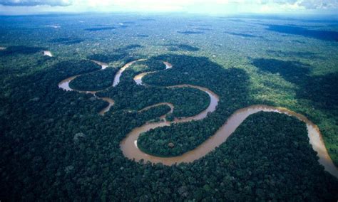 Dónde está el Amazonas Extensión actual y Desembocadura
