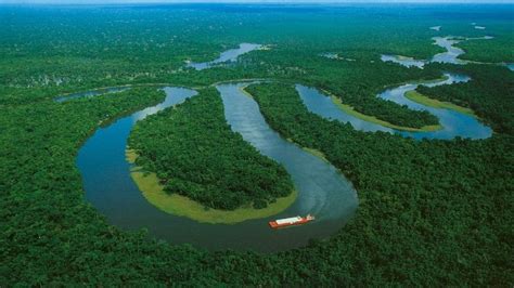 ¿Dónde queda el Amazonas? Lo que debes saber del pulmón ...