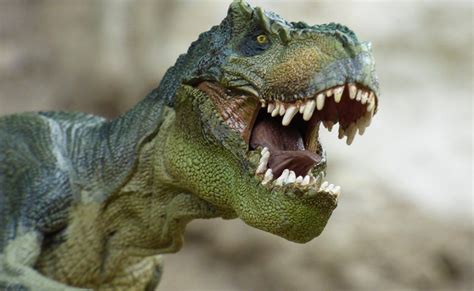 Dónde ver dinosaurios de tamaño real en México | Dinosaurier