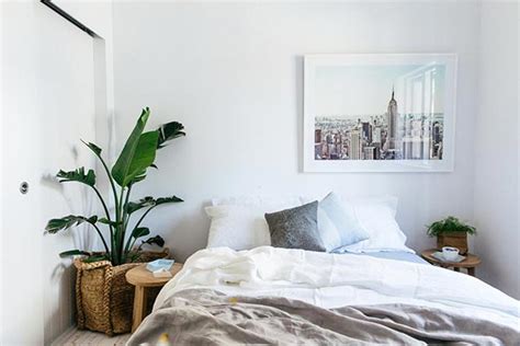 Dormitorios con plantas. Fotos, ideas y consejos