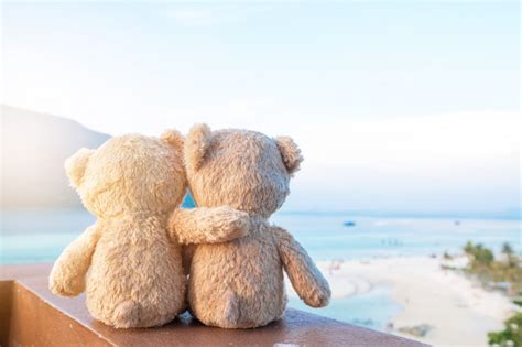 Dos osos de peluche sentado vista al mar. amor y concepto ...