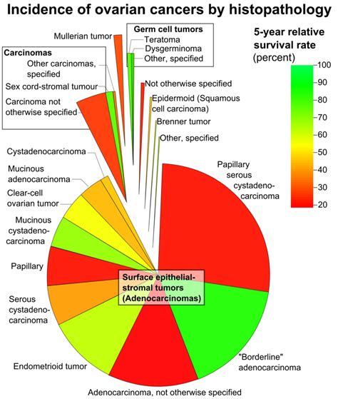 Dosya:Incidence of ovarian cancers by histopathology.png ...