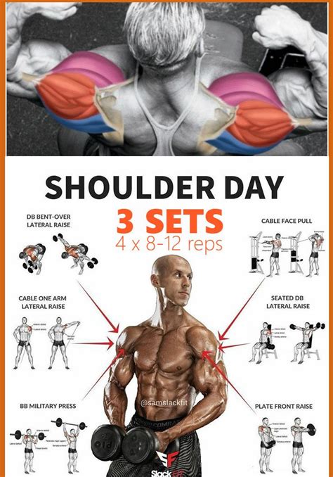 Double Phase Shoulder Width And Growth Workout Plan ...