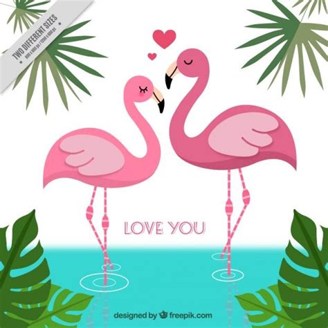 Download Background Of Flamingoes In Love for free in 2021 | Flamingo ...