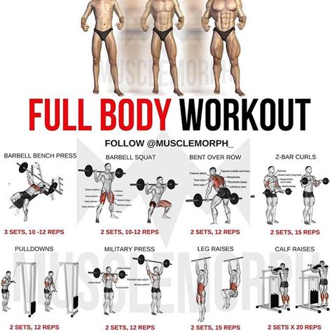 Download Full Body Workout Routine Bulk Up PNG   what exercise is a ...