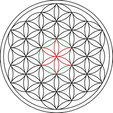 Download Sacred Geometry Lesson   Flor De La Vida ...