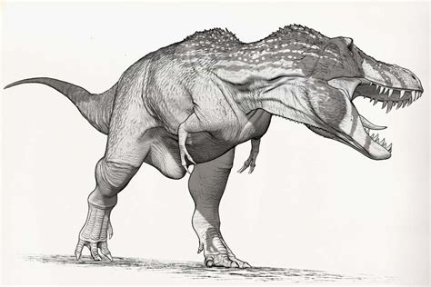 Draw Dinovember Day 30 Tyrannosaurus rex by daitengu on DeviantArt