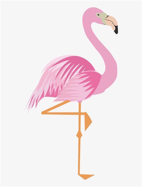 Drawing Flamingos Png   Flamingo Png Para Imprimir Transparent PNG ...