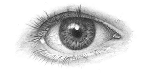 Drawing the Human Eye   OnlyPencil Drawing Tutorials
