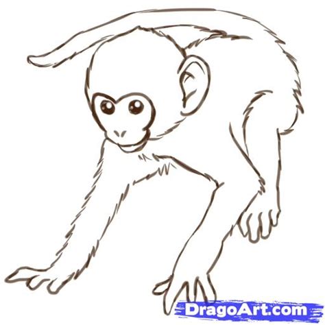 Drawings of monkeys on Pinterest | Cartoon Monkey, Monkeys ...
