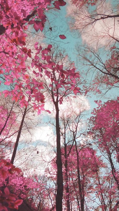 Dreamy Landscape Pink Blue Trees Surreal Nature Photo