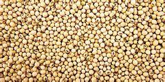Dried Beans|Dried Beans from Argentina suppliers,exporters ...