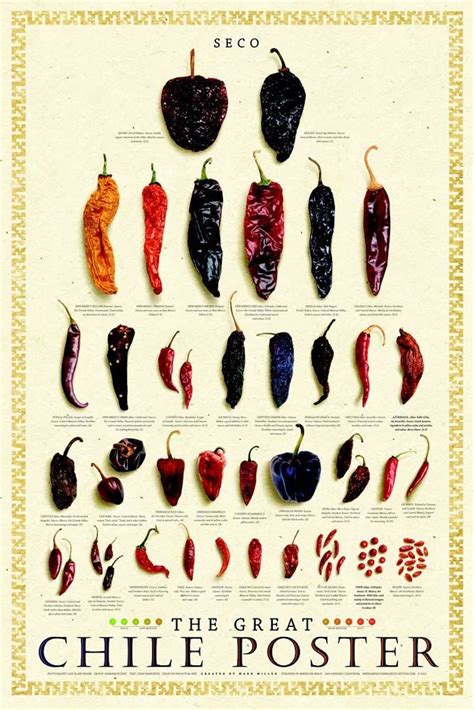 Dried Chile   Chile Secco Poster #food #recipe | Stuffed peppers ...