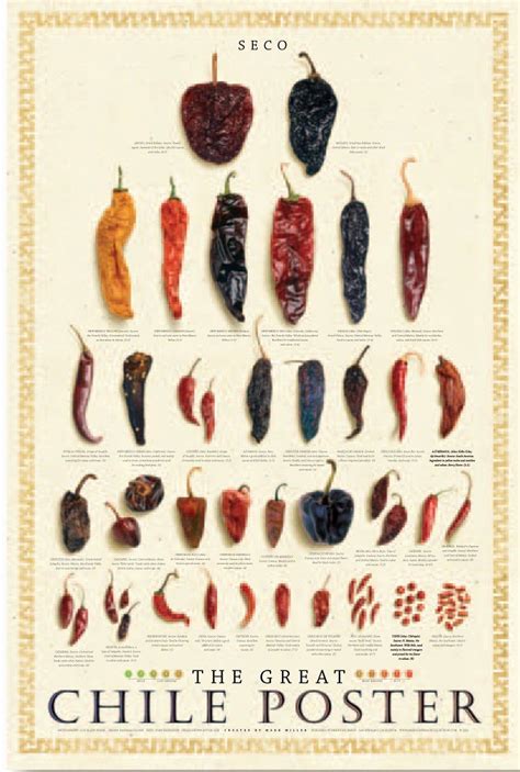 Dried Chile Peppers Poster – White Background – Gourmet Mushroom Kits ...