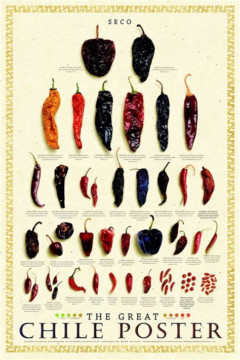 Dried Chili Pepper Poster | Recetas de comida, Recetas de comida ...