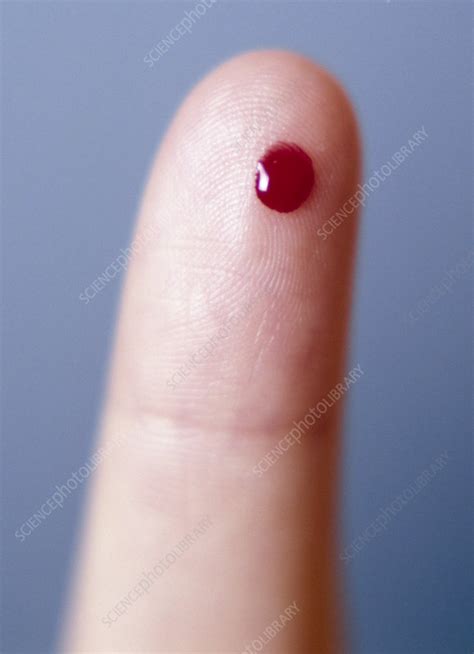 Drop of blood   Stock Image   M532/0687   Science Photo ...
