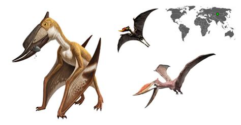 Dsungaripterus | www.dinosaurios.wiki