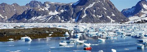 Du Groenland à Saint Pierre et Miquelon | Vie Sauvage   Les voyages nature