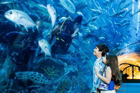 Dubai Aquarium & Underwater Zoo, Dubai   RueBaRue