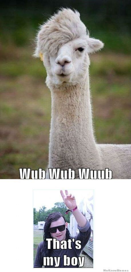 #Dubstep #Llama #Skrillex | Best funny pictures, Dubstep ...