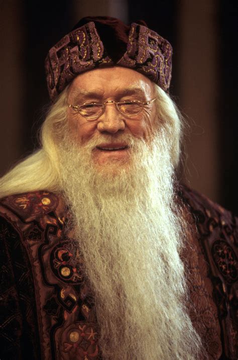 Dumbledore smiling from the Philosopher s Stone | Harry ...