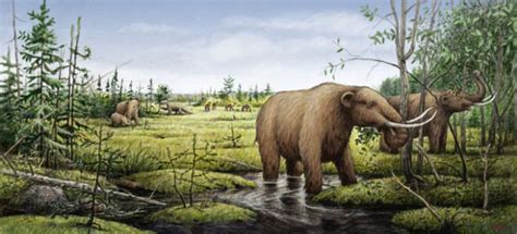 Dung Fungus Provides New Evidence in Mammoth Extinction | WIRED