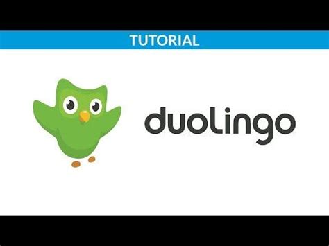 Duolingo: Plataforma para aprender idiomas online y gratis ...