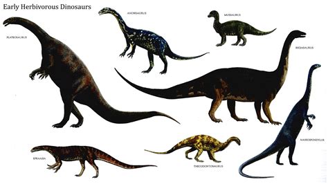 Early Herbivorous Dinosaurs   Herbivore Dinosaurs