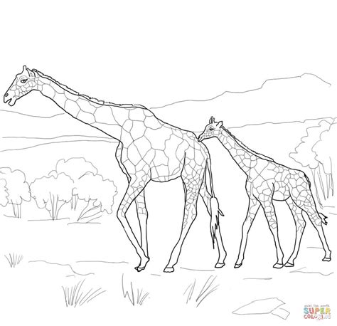 Easy Giraffe Drawing at GetDrawings | Free download