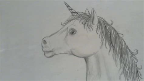 Easydraw1: Pony & Unicornio/Unicorn  Como Dibujar    YouTube