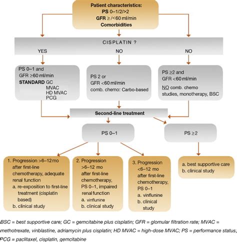 EAU Guidelines on Muscle invasive and Metastatic Bladder ...