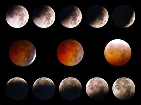 Eclipse Lunar: significado, tipos, fases y mucho más.