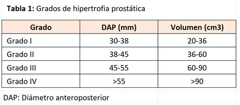Ecografía transabdominal de la vejiga y próstata | Nefrología al día