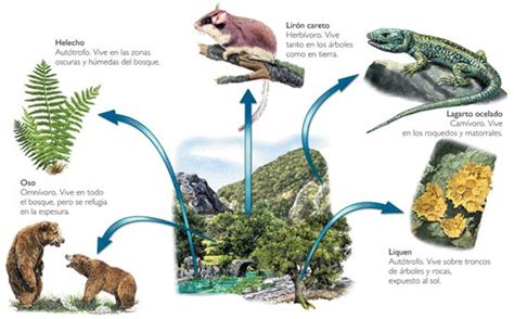 ECOLOGIA: ADAPTACION