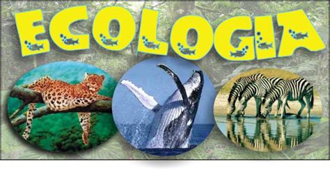 Ecología: Ecología y su relación con otras ciencias